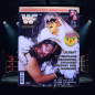 Preview: WWF Magazin Nr. 10 (1996) | Ultimate Warrior Poster | Goldust & Mankind | Ehapa